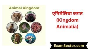 एनिमेलिया जगत (Kingdom Animalia)