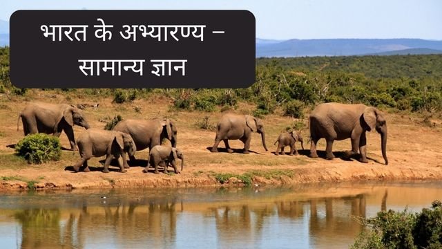 National Wildlife Sanctuary of India in Hindi 