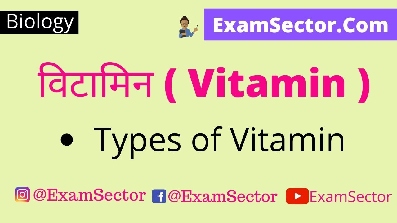 What is Vitamin in Hindi