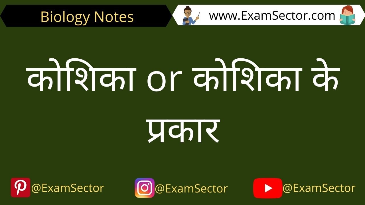 Types of Cells Notes in Hindi