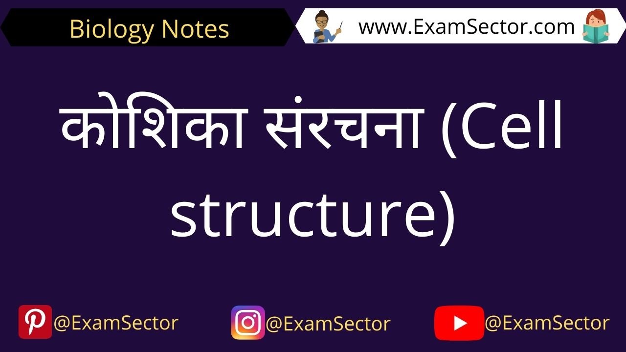 Cell Structure and Function Notes in Hindi
