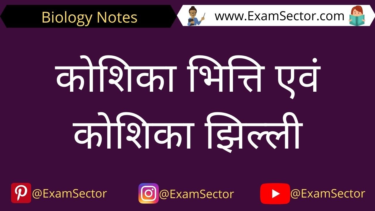 Plasma Membrane And Cell Wall in Hindi