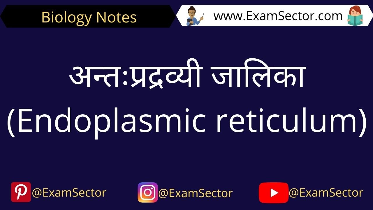 Endoplasmic Reticulum Notes in Hindi