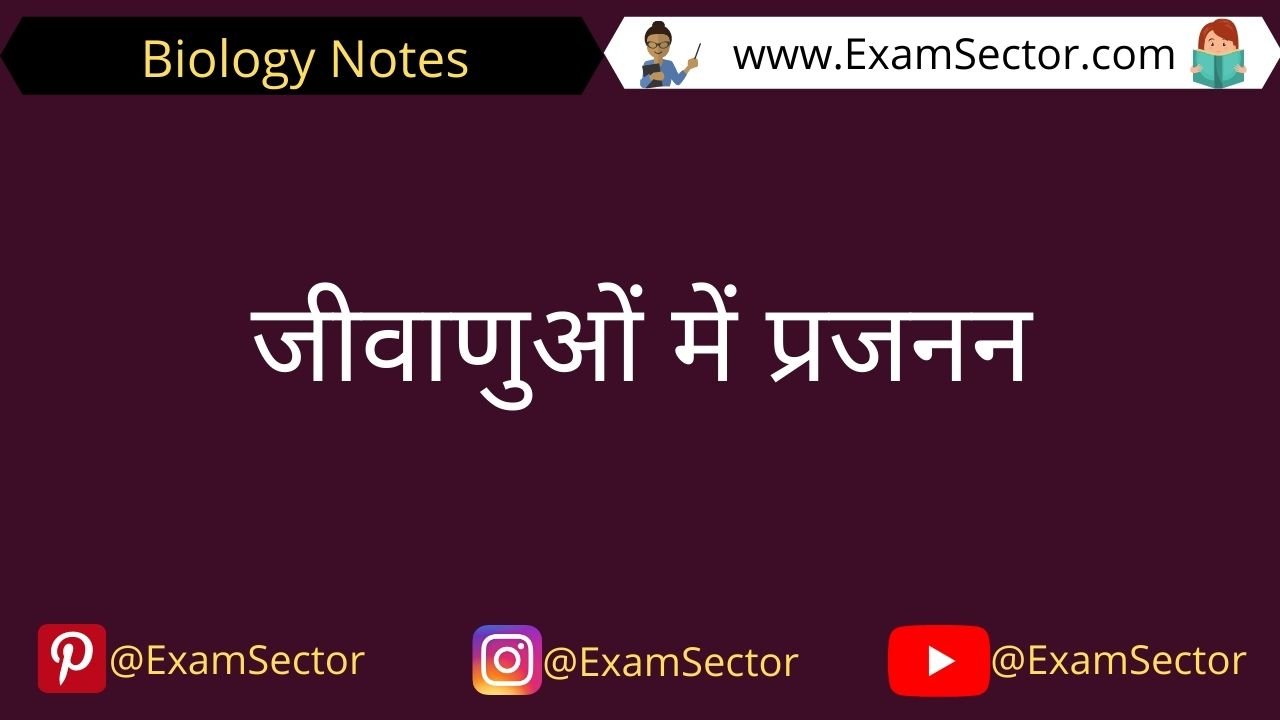 Reproduction in Bacteria In Hindi