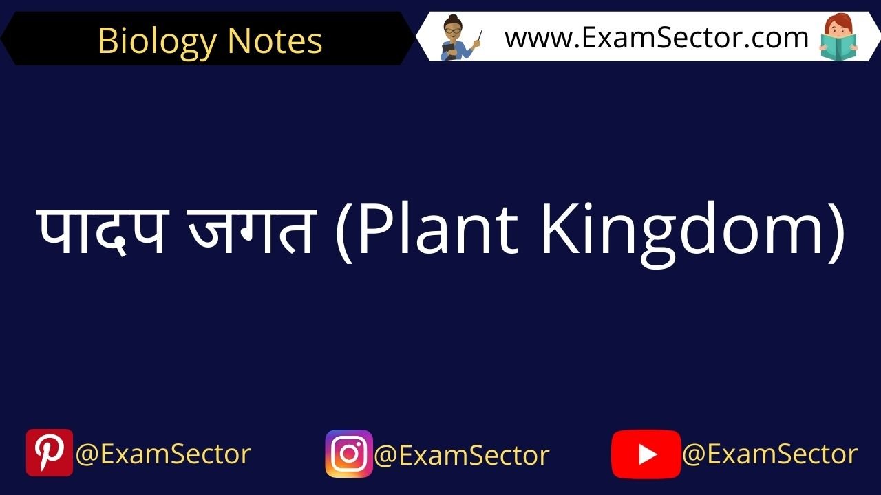 Plant Kingdom Notes in Hindi