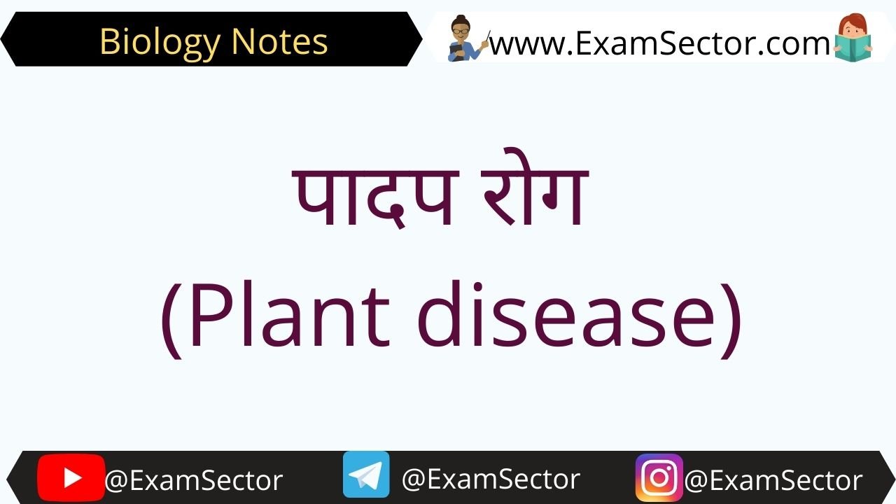 Plant disease Notes in Hindi 
