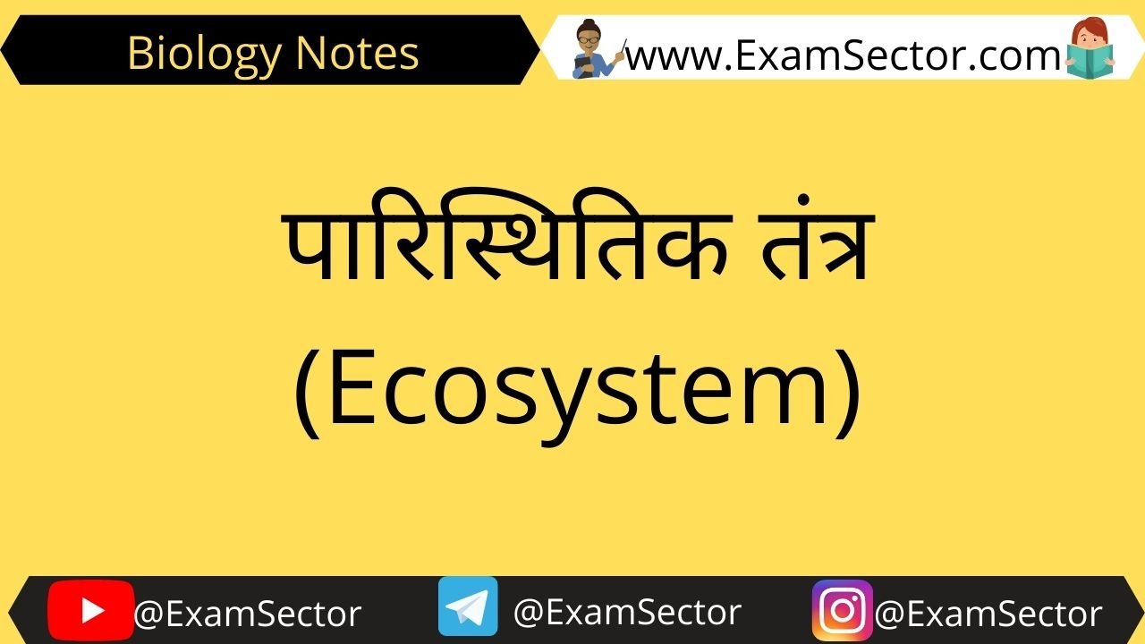Ecosystem Notes in Hindi