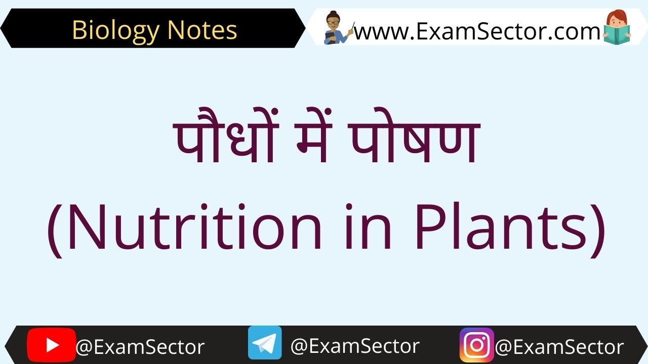 Nutrition in Plants in Hindi
