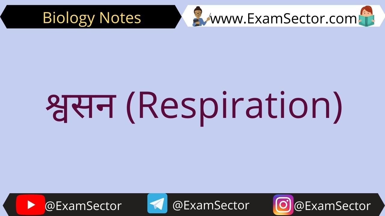 respiration definition in hindi