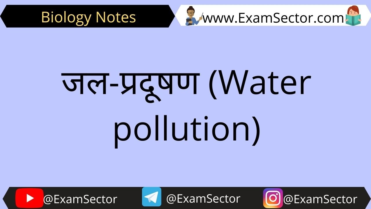 Water Pollution Notes in Hindi