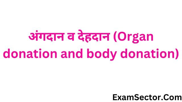 organ donation essay in hindi language