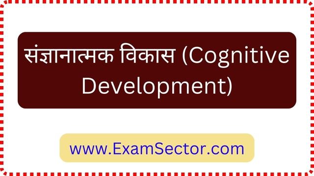 Cognitive Development in Hindi